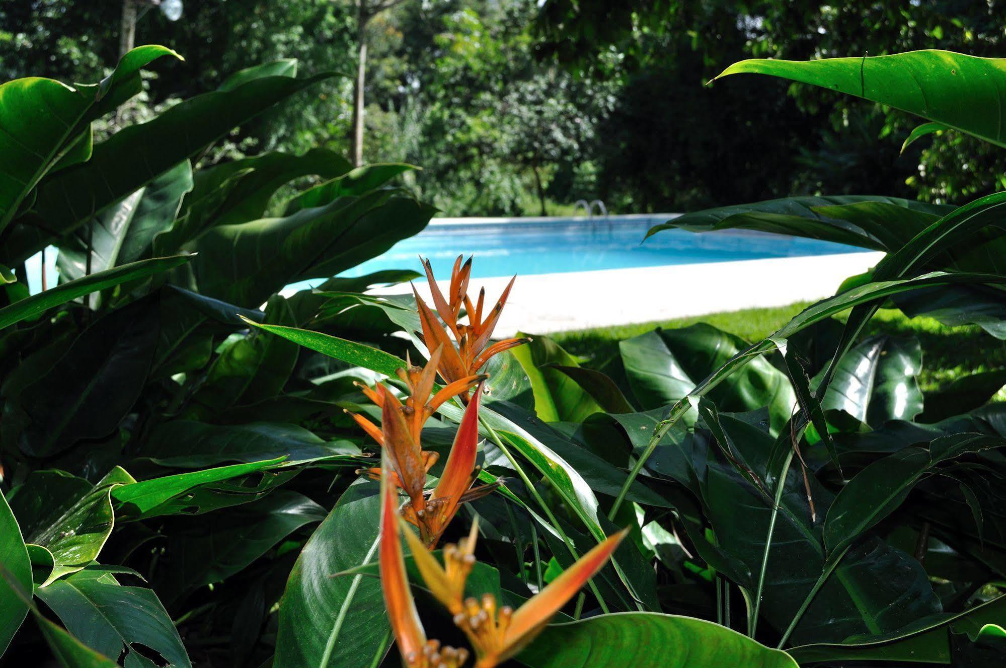 Rancho Baiguate Hotel Jarabacoa Eksteriør billede